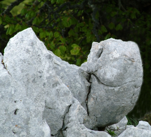 Sculture naturali